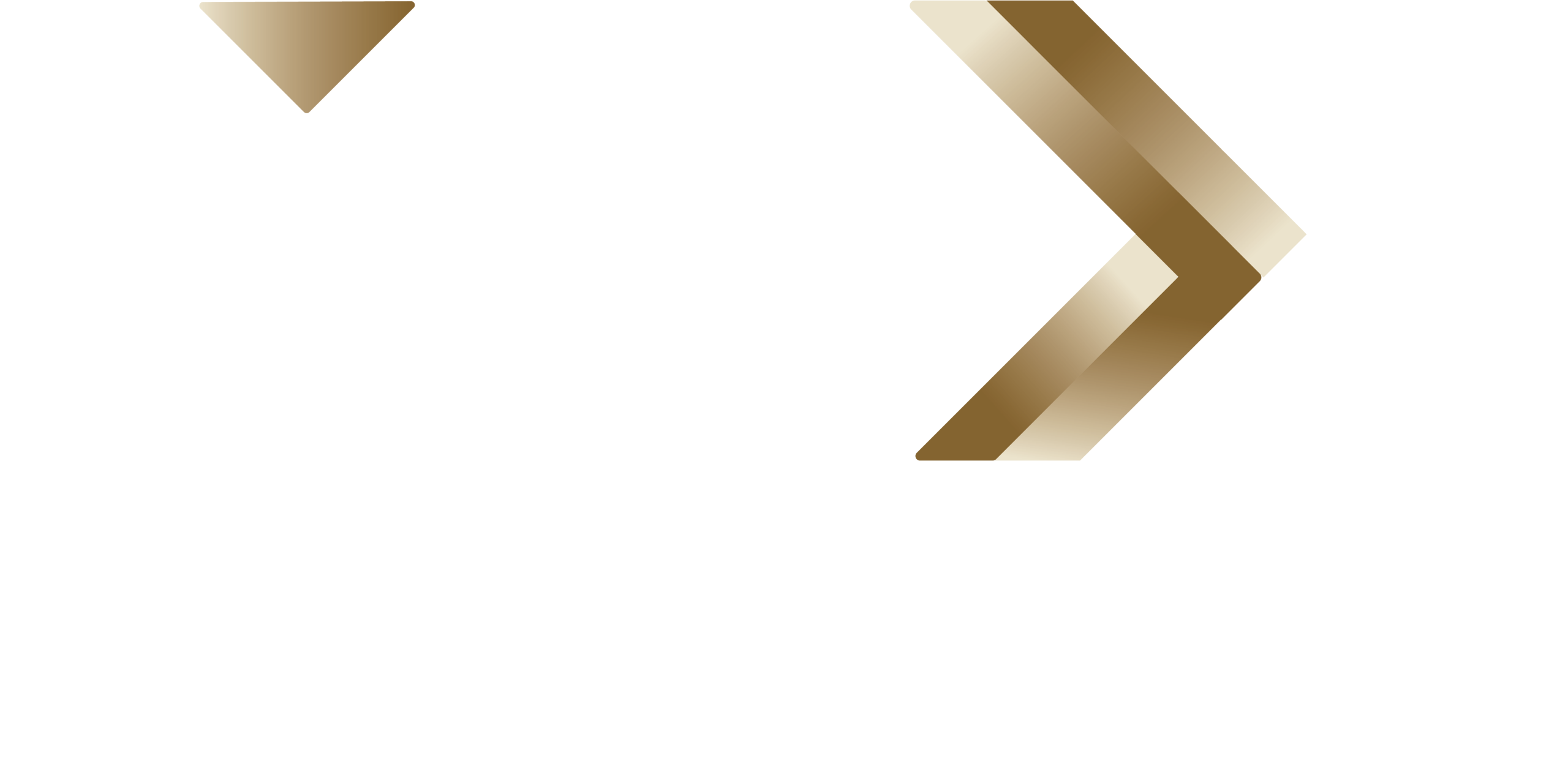 logo-image